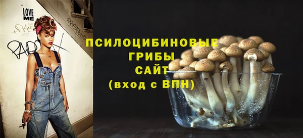 spice Армянск