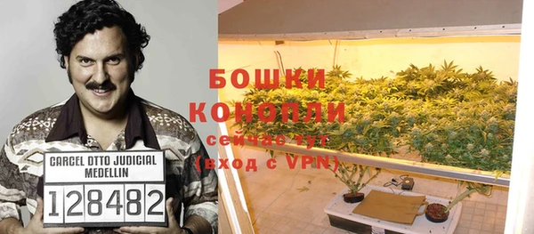 ГАЛЛЮЦИНОГЕННЫЕ ГРИБЫ Арсеньев
