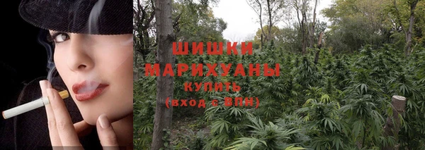 ГАЛЛЮЦИНОГЕННЫЕ ГРИБЫ Арсеньев